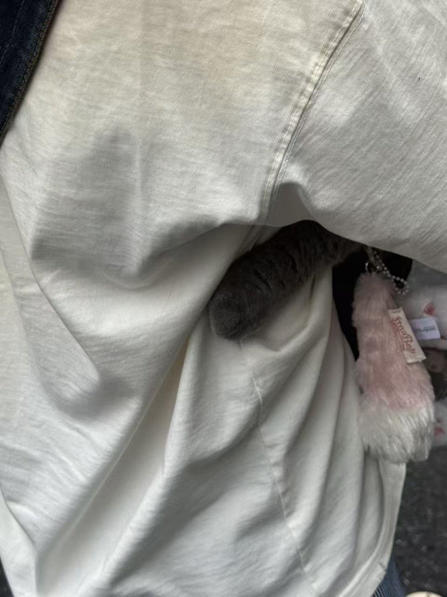 Nabuttering's tweet photo. 胖猫 https://t.co/9zvchSdcgd