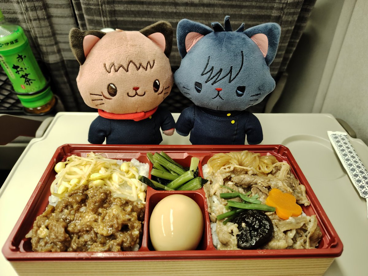 hijirisou's tweet photo. 函館到着〜！
五稜郭、立待岬を観光しました。楽しかった〜！
ゆじめぐ　にゃんず可愛かった https://t.co/C2UnEWMUUt