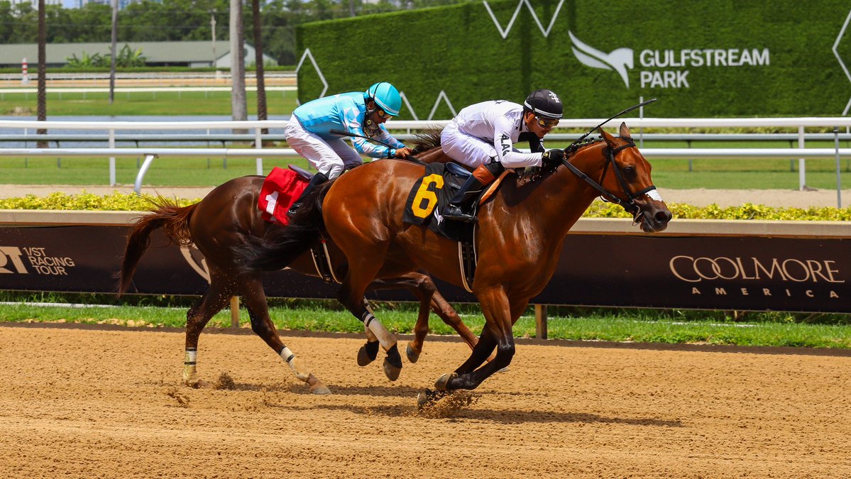 GulfstreamPark's tweet photo. Brother Brad defeats stablemate Bay of Bengal to win.race 5, @JockeyHerrera up for trainer Amador Sánchez. #GulfstreamPark #RoyalPalmMeet https://t.co/QQCB2Yxbts