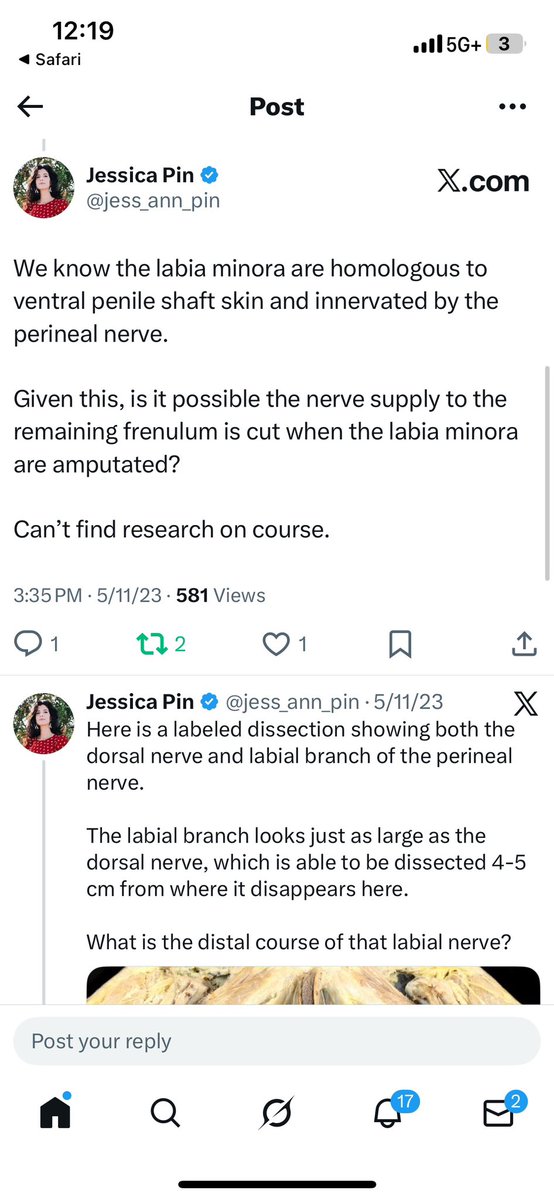 jess_ann_pin's tweet photo. Shoutout to me for figuring this out before it was proven. 

All I had to do was assume multiple women couldn’t all be crazy. https://t.co/EUuaDWPd22