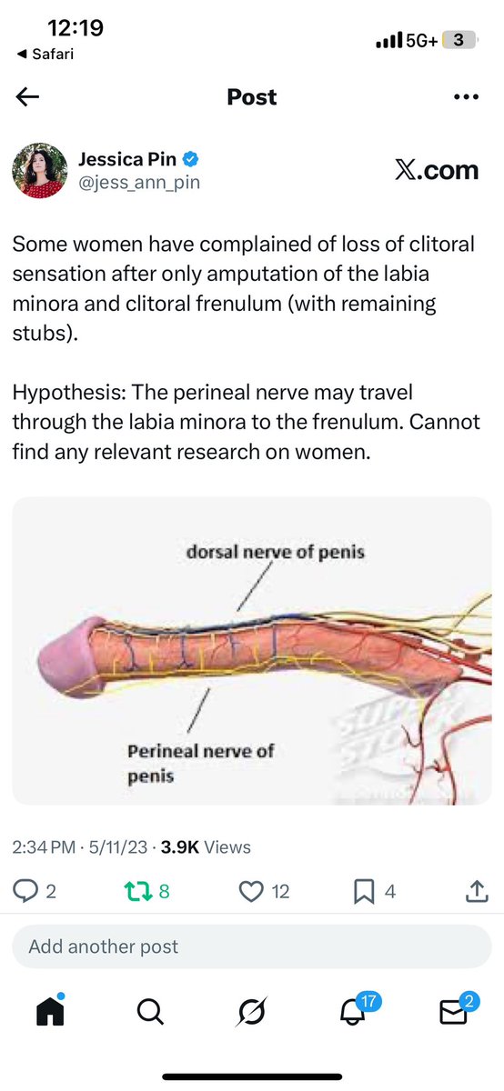 jess_ann_pin's tweet photo. Shoutout to me for figuring this out before it was proven. 

All I had to do was assume multiple women couldn’t all be crazy. https://t.co/EUuaDWPd22