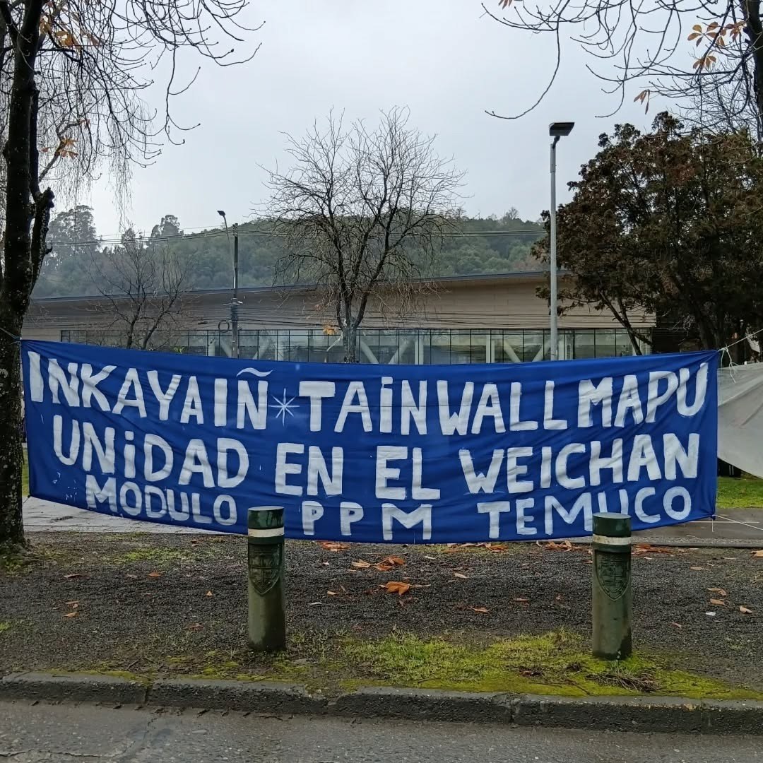 CatMapuche tweet picture