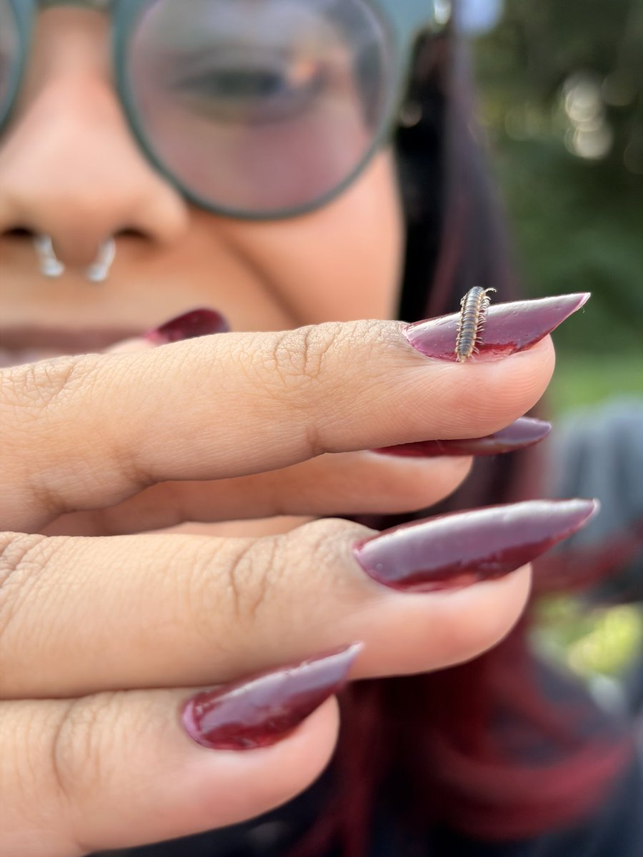 lwtpxyno's tweet photo. pois a unica dificuldade aq é arrumar tempo p fazer todas as unhas q eu quero https://t.co/fPhysTBK9r