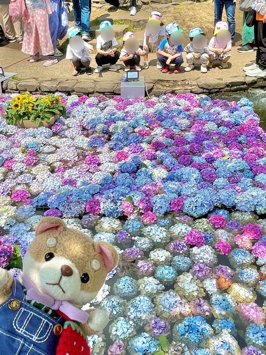 ♡もこ♡ページ♡ あれま～きれいやなぁ☺️