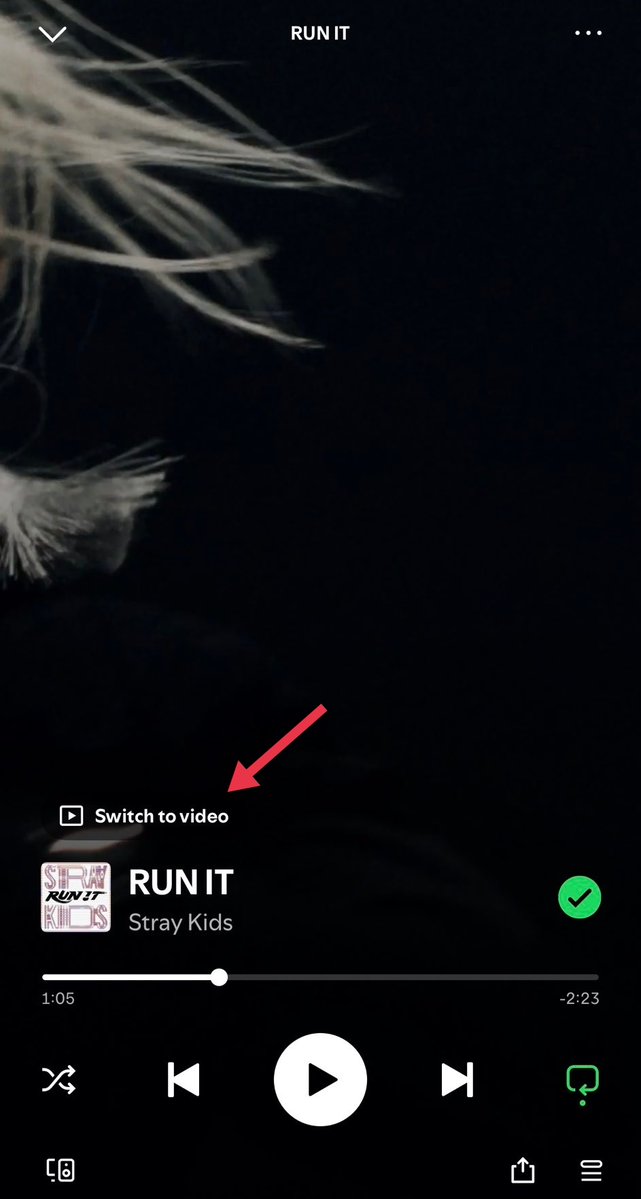 SKZonChart's tweet photo. "RUN IT" M/V is now available on Spotify!!

🔸M/V streams from here will count towards Spotify Global charts.

🏁 https://t.co/8uvdeKBXt2 https://t.co/N4jvveWyJ5