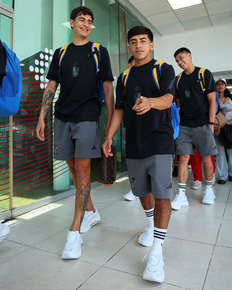 TigresOficial's tweet photo. ✈️👋🏼 ¡Todos a bordo que nos vamos a California para una Pretemporada más! 🐯 ¡Vamos los Tigres! https://t.co/jRqaIKsDCf