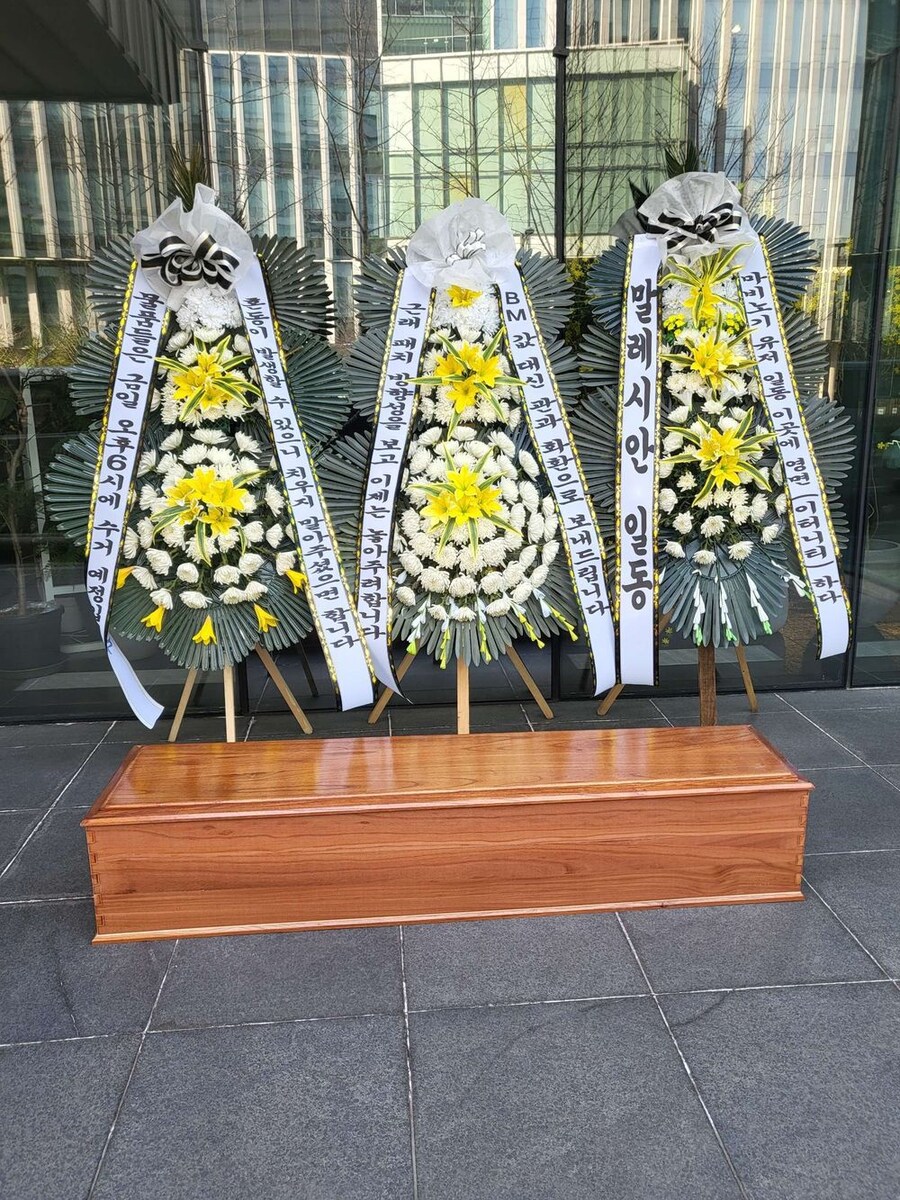 수수죽 tweet media