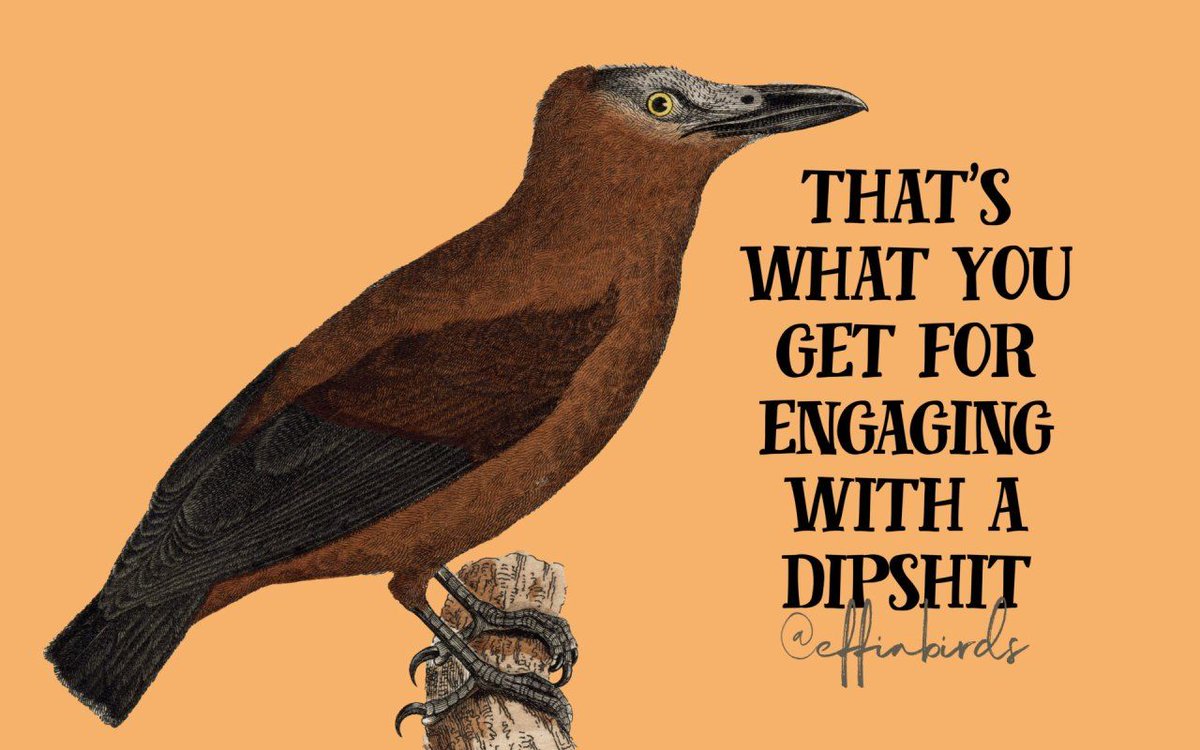 EffinBirds's tweet photo. https://t.co/Fp190VCYh6 https://t.co/nVtPijb1VH