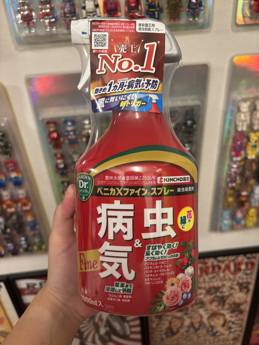 Haribo_soup's tweet photo. うちのかわいい大黒さんにハダニが湧きよった🥶クソが！駆逐してやる！！ https://t.co/K6h7MEPy2g