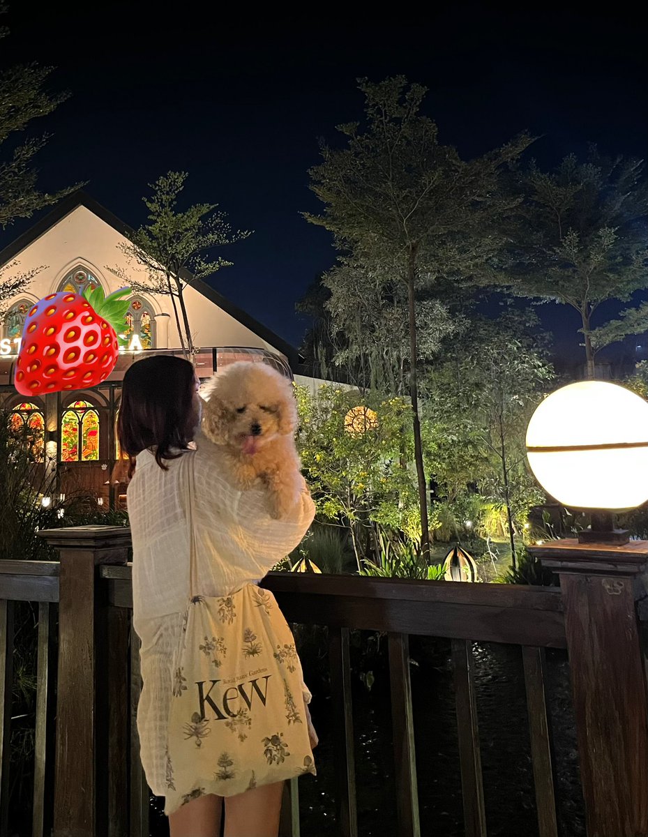 vivevolatile's tweet photo. Jalan-jalaann dengan si anjing poodle-ku! https://t.co/0iJF3sXADT