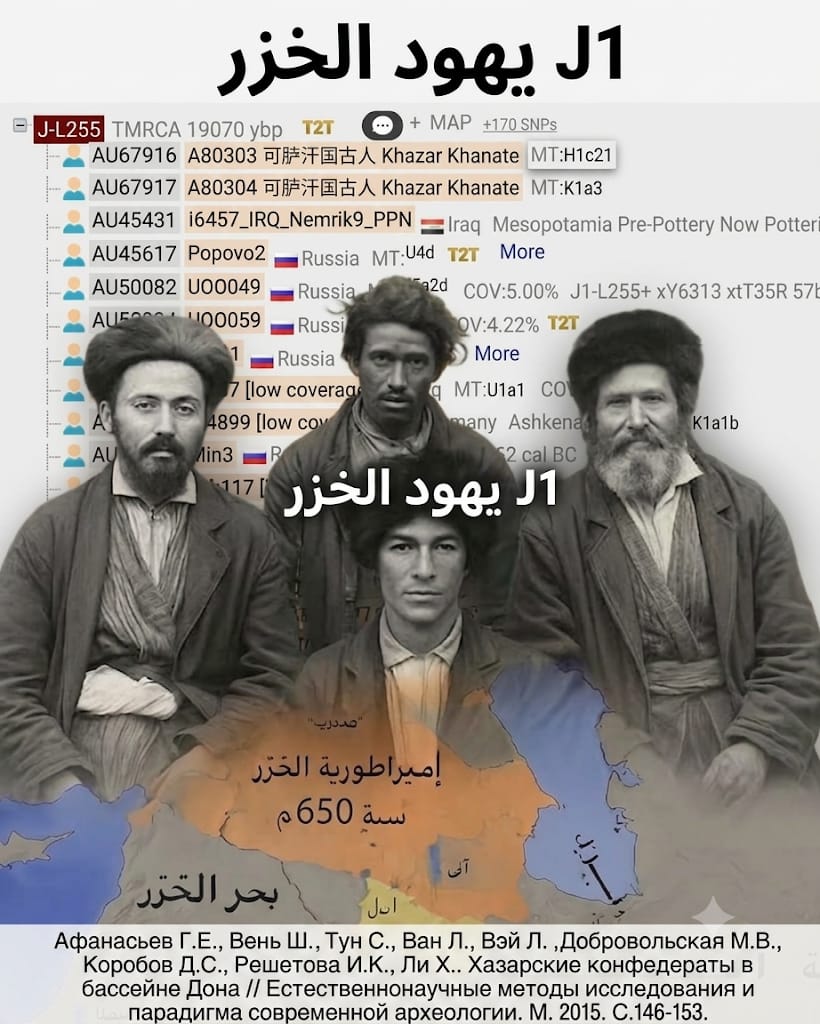 ishmalite221737's tweet photo. قمت بأضافة نتائج الخزر إلى المُشجَّر الجيني الصيني من دراسة روسية  لكن التصنيف توقف عند فرع علوي j1  لضعف التغطية. الخزر أتراك  اعتنقوا اليهودية،وهذا يثبت ان  حاملي J1 يرتبطون بسهوب القوقاز لا بجزيرة العرب؟ في انتظار اضافتها الى YFULL 

#جينات #الخزر #j1 https://t.co/dIbe0JUpBk