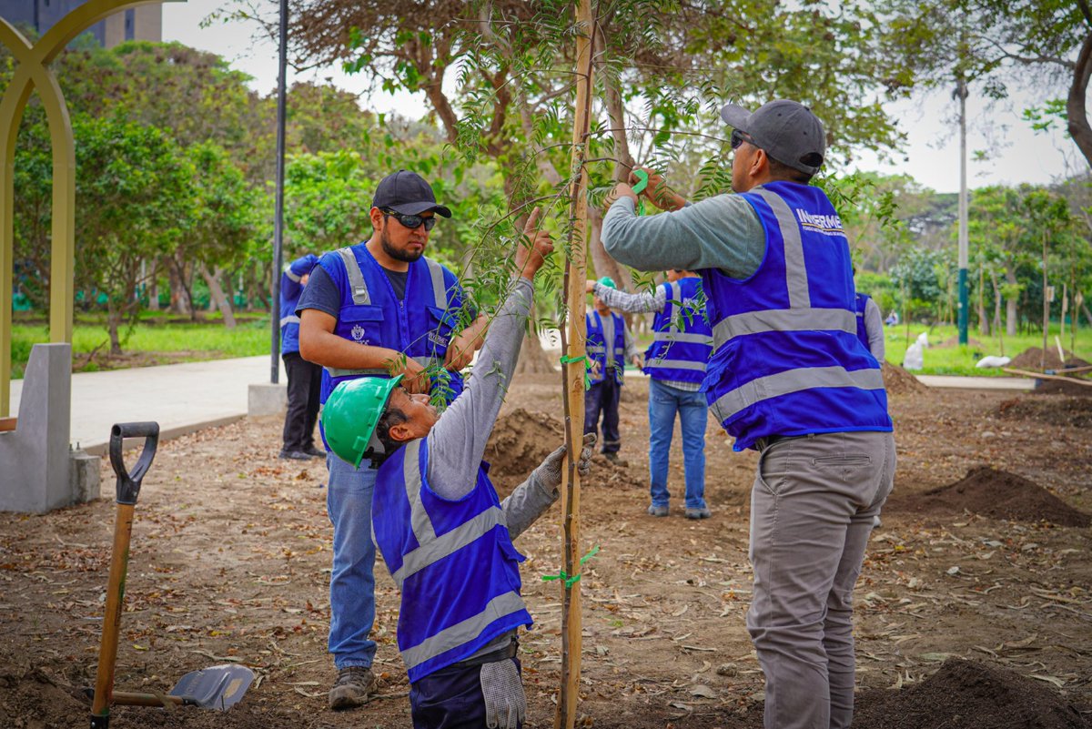 InvermetLima's tweet photo. 🌱 Cada árbol representa un paso más hacia la recuperación del Campo de Marte.

INVERMET dio inicio a la plantación de 100 árboles, una acción que forma parte del Plan de Manejo Ambiental y de las medidas de recuperación del parque.

#INVERMET #CampoDeMarte #RecuperaciónAmbiental https://t.co/psq0Q4wKNC
