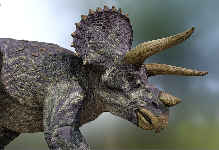 triceratops