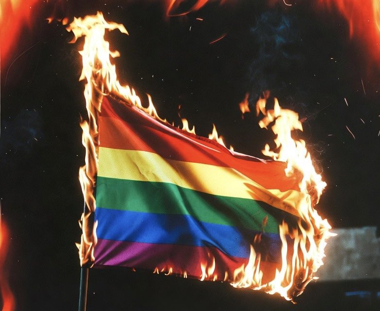 boy4deano's tweet photo. pride month 🤮is coming to a close
Help make sure it's the last 1 that Straight Men have to see prancing queers parading in the streets
Engage and promote Them
Apologize to Them for having it forced upon Them
Petition for future years not having to endure it https://t.co/B7fEjvwJuu