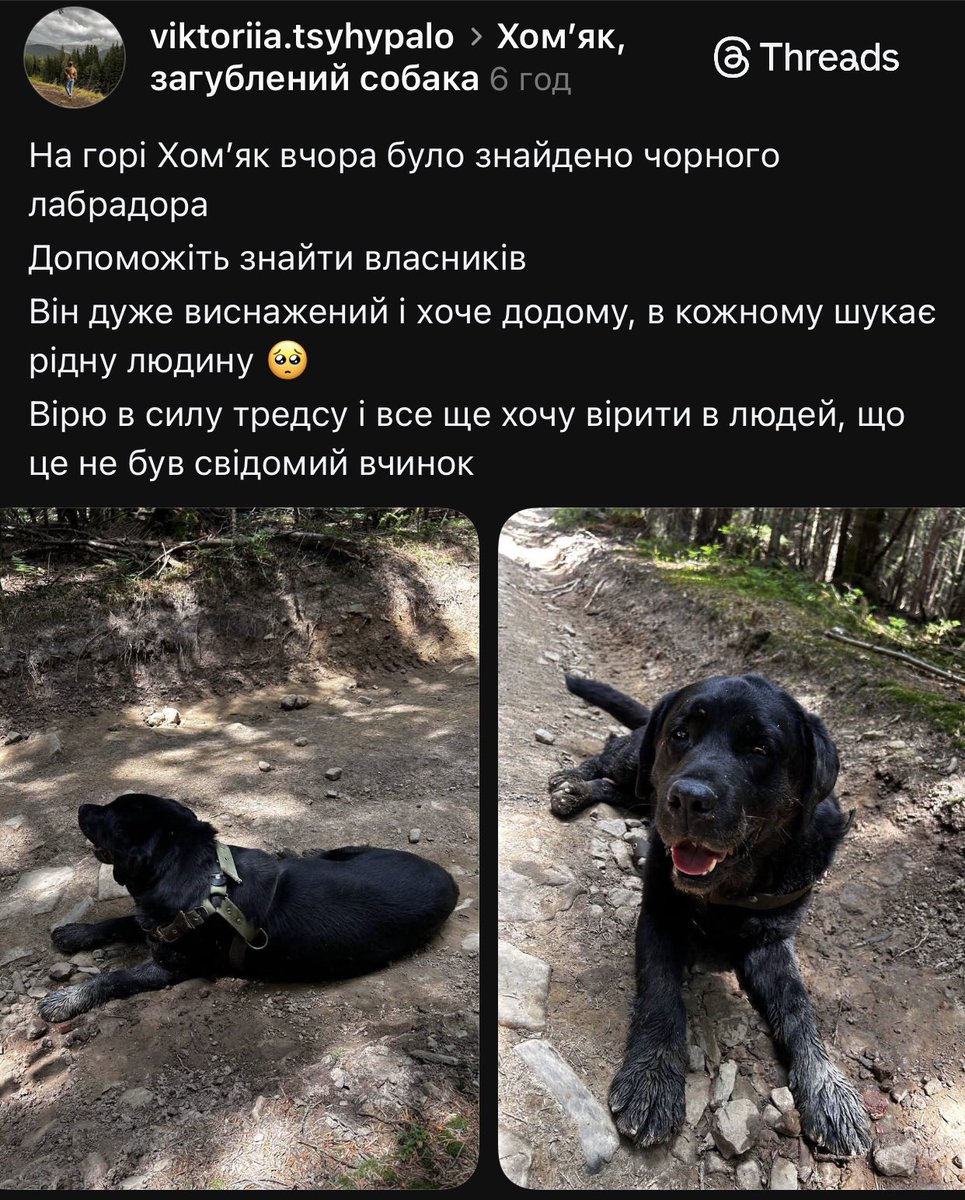 Natalіa tweet media