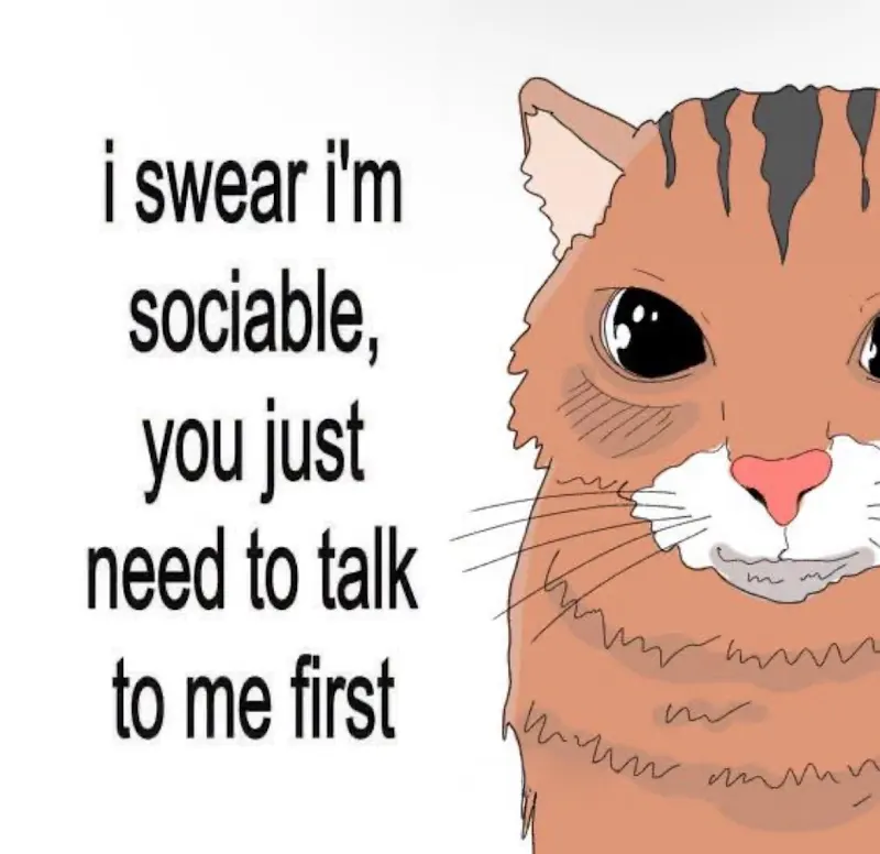 sillywhimsymeme's tweet photo. https://t.co/FNV2kSqYQh