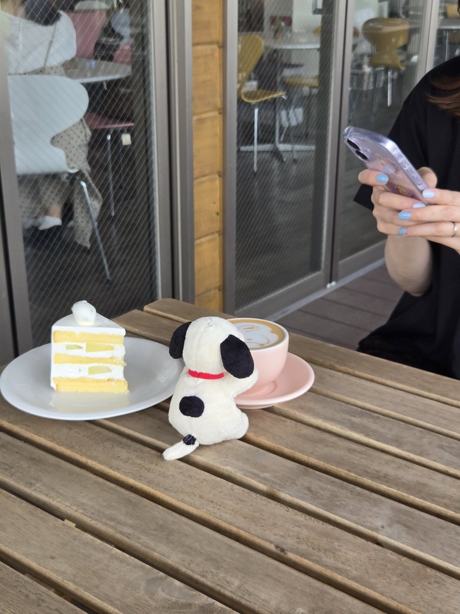 log333's tweet photo. ランチがめちゃくちゃ人気のお店なんだけど店主は頑なに「うちコーヒー屋なんで笑」って言い張るのよね
4枚目はその後行ったカフェでのスヌ活の裏側ฅ(･¨ (●) https://t.co/OkalUP6wNR