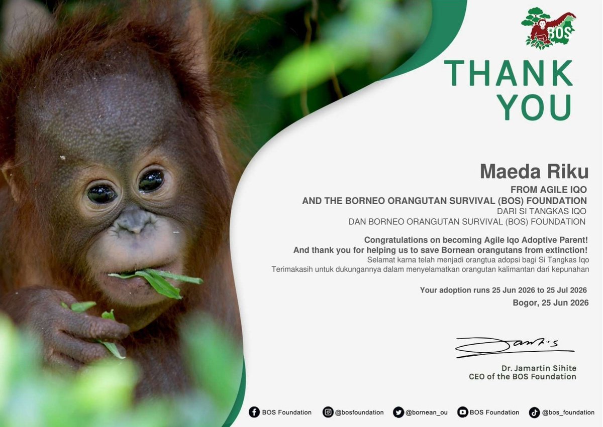 kurikuui's tweet photo. ( 𑣲⋆ ) happy birthday maeda riku ! 

in celebration of riku’s birthday, i’ve decided to adopt orang utan under riku’s name ! 🤍

#애햄_리쿠생일이다냥
#夏の始まりはリクと共に
#AllForRikuDay https://t.co/7iYnkZgc7w
