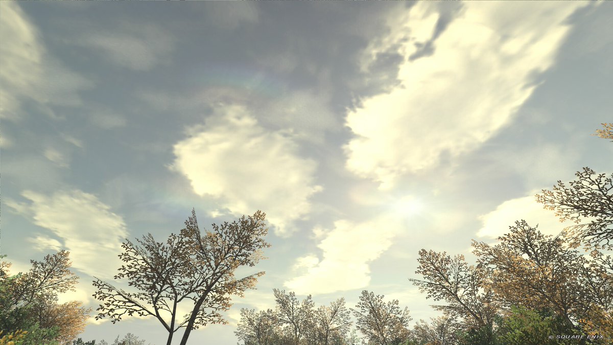 tetrait's tweet photo. https://t.co/HapqdaYg0g