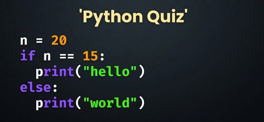 Python Programming tweet media