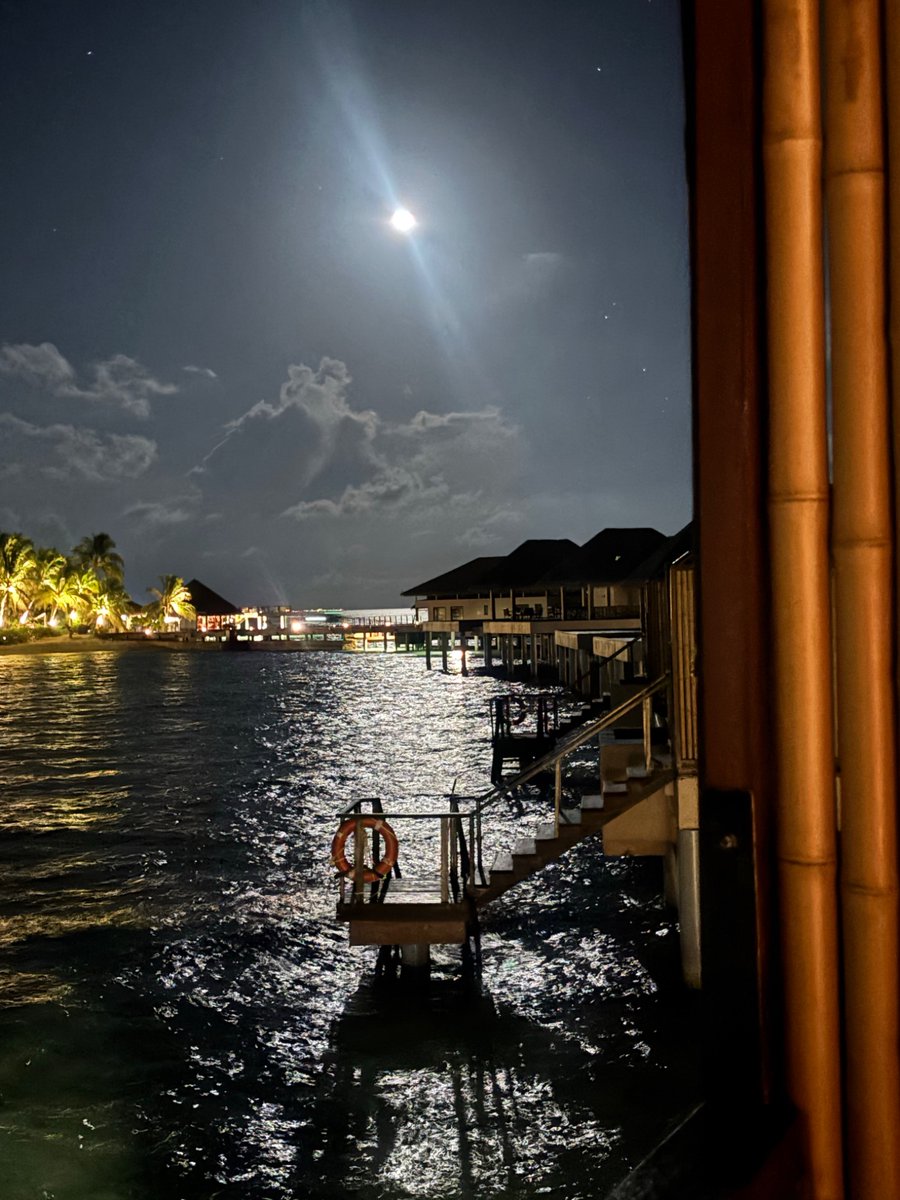 IshaBanik's tweet photo. ✨🌊🌴🩵🇲🇻 https://t.co/QzJr2nnVGZ