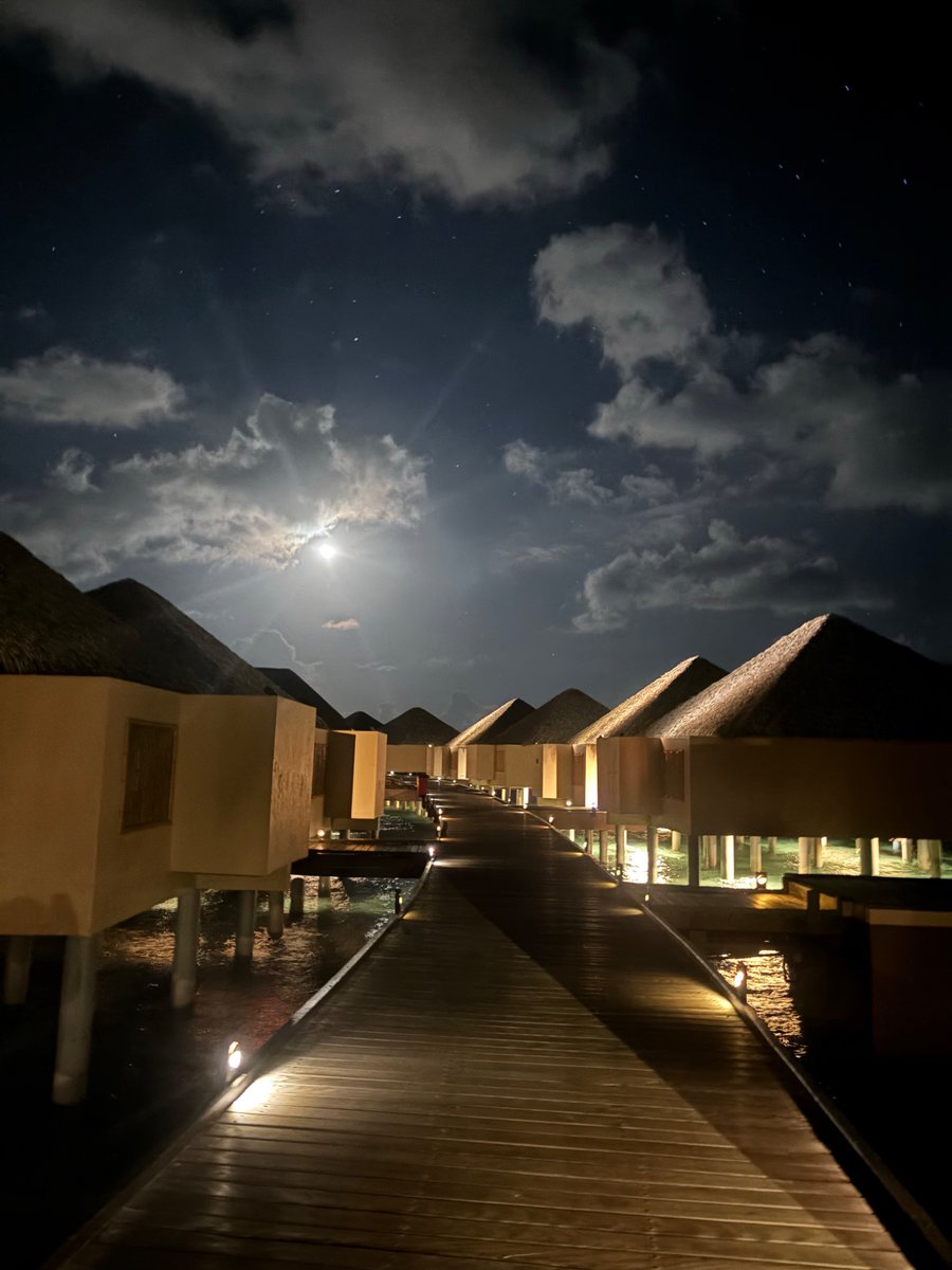 IshaBanik's tweet photo. ✨🌊🌴🩵🇲🇻 https://t.co/QzJr2nnVGZ