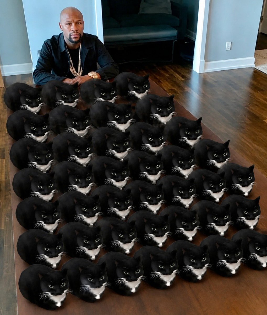 Maxwell_MemeCat's tweet photo. How much $Maxwell are you holding?

Im tryna gather a whole army https://t.co/N52OdON7bA