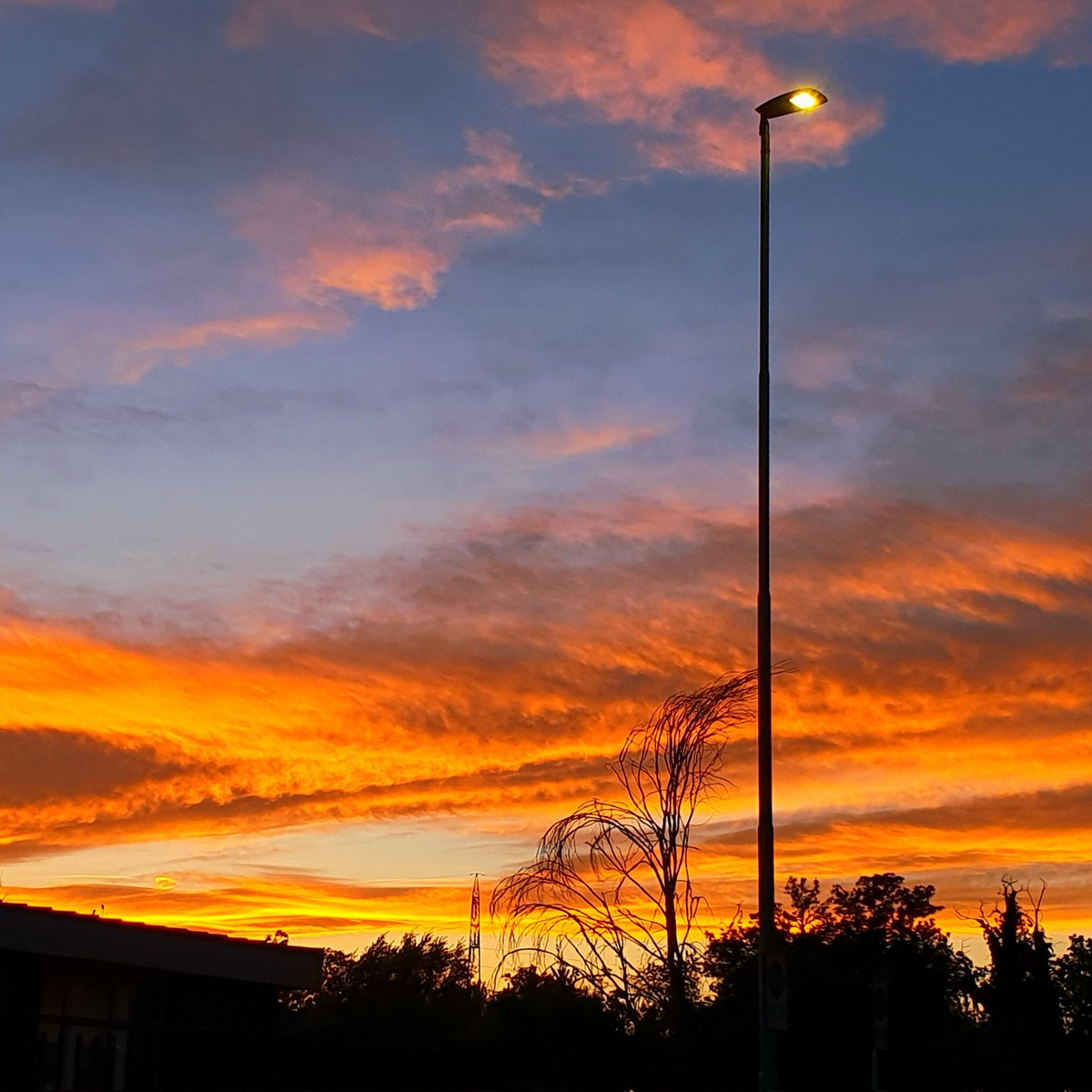 EmilianoVerga's tweet photo. Un dardo infuocato
la freccia incendiaria
di notte è bruciato
l'estate è nell'aria
#sinteticamente @CasaLettori
#istantaneeDa Bollate, Milano #inLombardia
#ThePhotoHour #scritturebrevi
#StormHour https://t.co/pCjwiscBKN