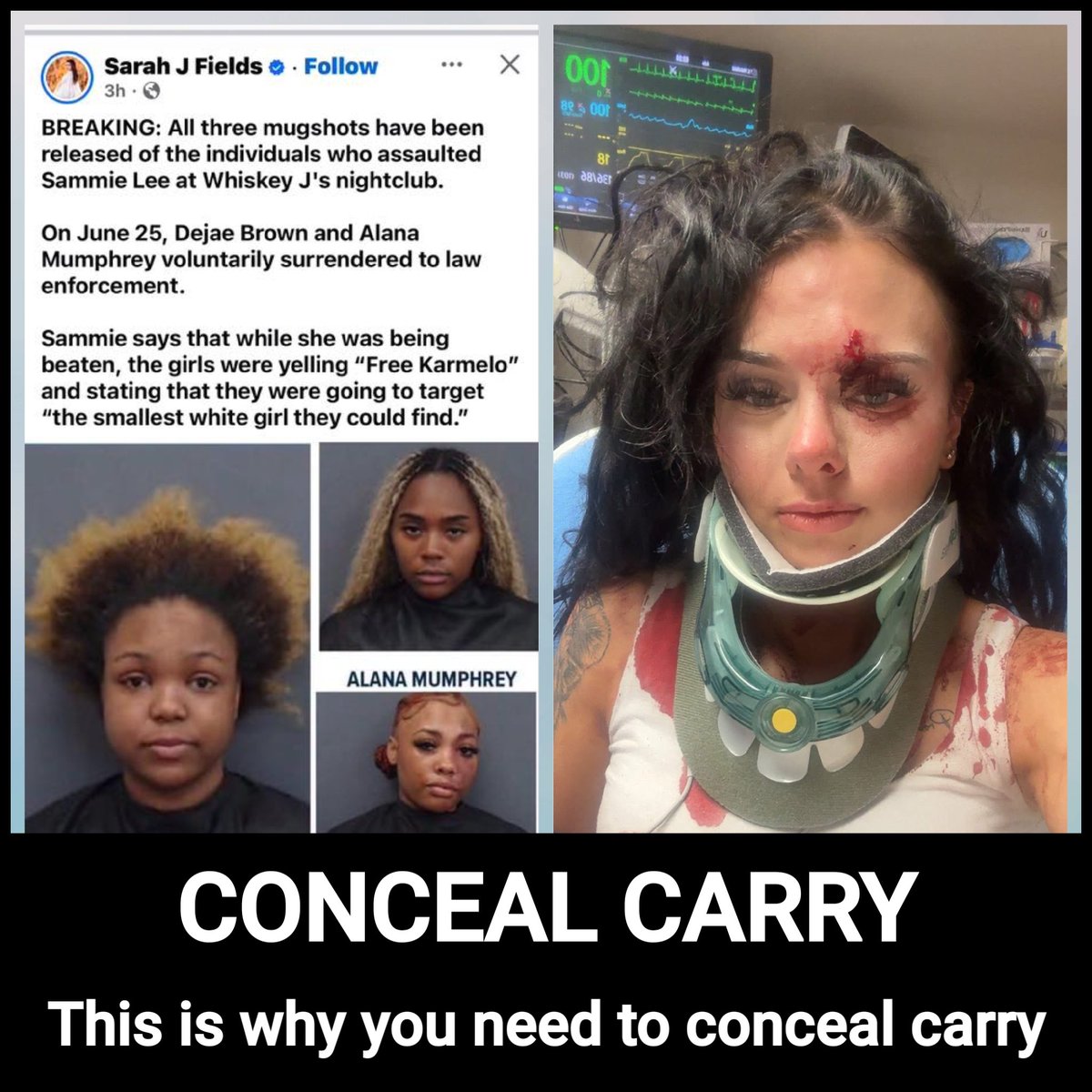 BlackSouthener's tweet photo. This is what happens when you keep trying to appease these people, these Boomquesa  yelled free Karmelo Anthony the #WatermelonFelon and beat this little White girl for no reason. You still think 🤔 you can "they are not just enslaved by Democrats" or IT'S the Black single mother culture
