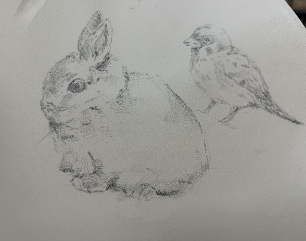LAYALNOVALEE00's tweet photo. Drawing https://t.co/aS5en3DsOM