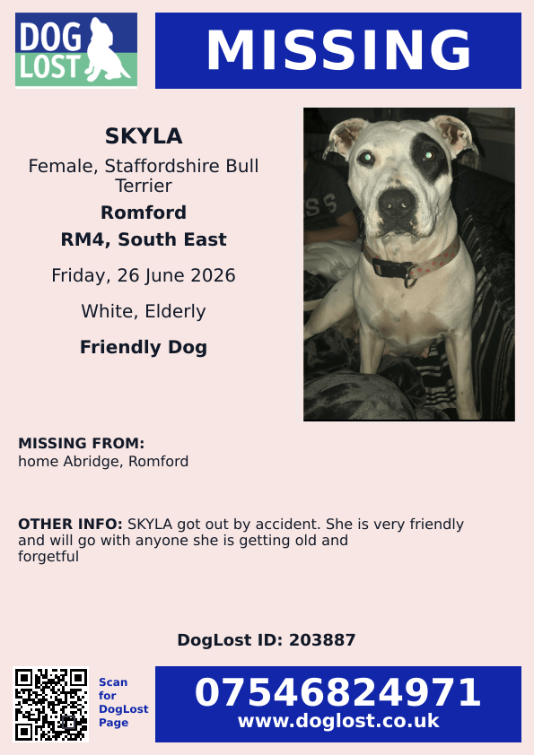 MissingPetsGB's tweet photo. 🐕 #URGENT elderly #staffy SKYLA escaped home when the rubbish was being cleared on 26 June 2026 in #Abridge #Romford #Essex #RM4 
Skyla is a very distinctive dog - if seen please do not chase or try to catch. Please just call and report sighting.
https://t.co/lIekFqhfEE https://t.co/018ovgV3TH
