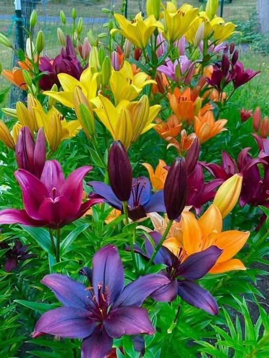 ChosenMusoke's tweet photo. Dear GOD, I place my fears &amp; anxious thoughts into Ur loving hands. Fill my heart with Ur perfect peace, strengthen my faith, &amp; remind me that U are always with me. Help me trust Your plan, rest in Your promises, &amp; face each day with courage. In Jesus Christ’s name, I pray. Amen. https://t.co/6nzjGkWwtA