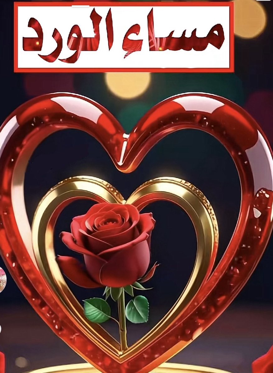 A55166535's tweet photo. مساء الخير والسعاده والسرور 🌺🌺❤️❤️❤️ https://t.co/tKUa0sL6RV