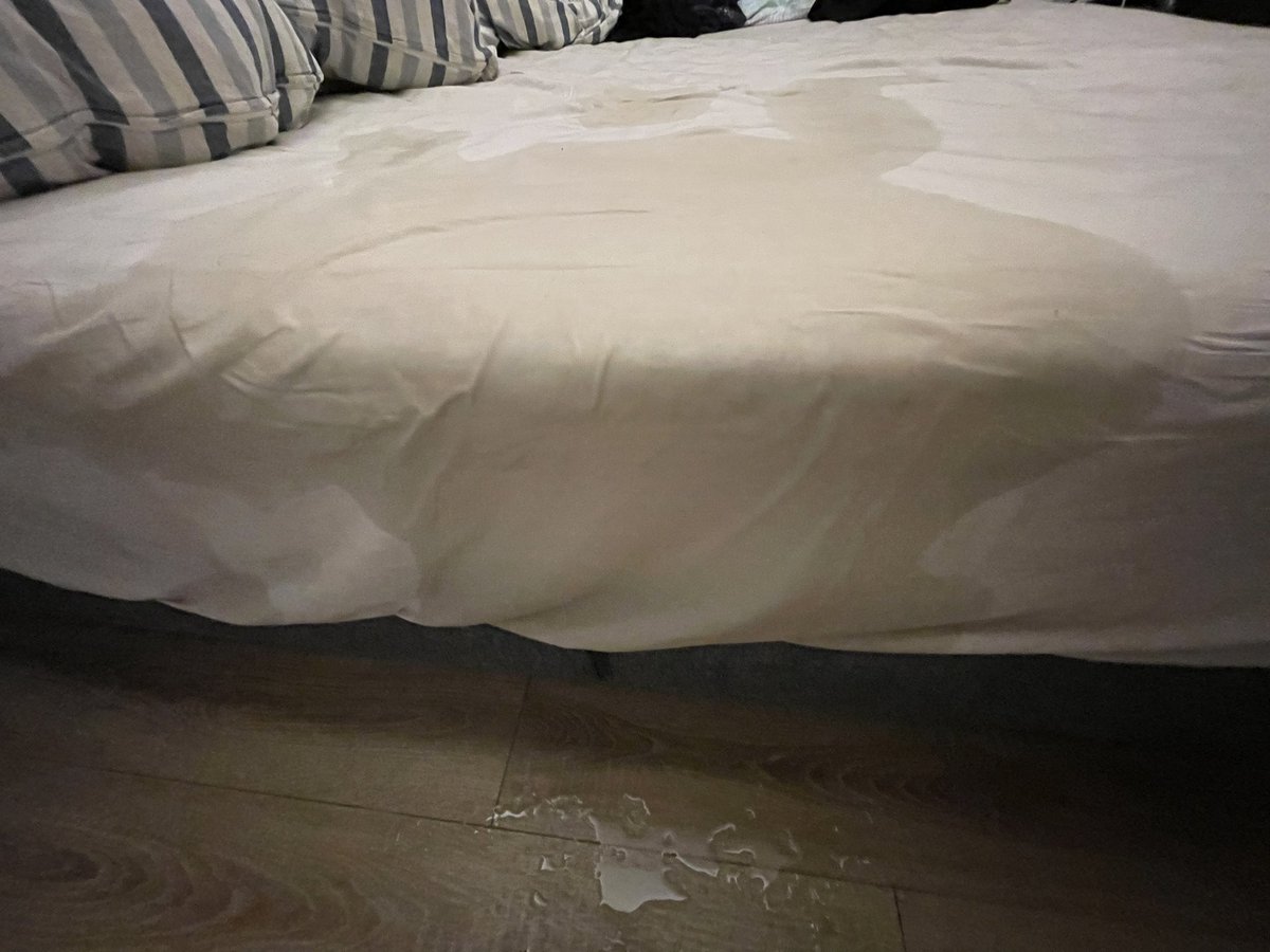n369236's tweet photo. 谁能给我解释一下 18cm的没给我艹服，但是15cm的给我艹喷了，这是为什么？ https://t.co/vPkdd9ZZ1g
