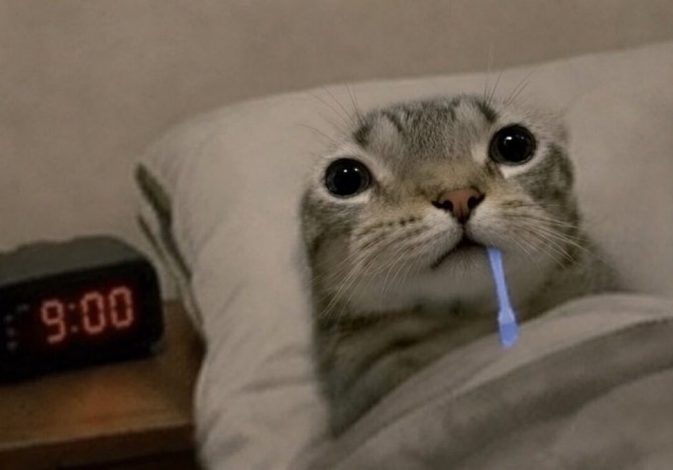 nottcomplaining's tweet photo. good night gang https://t.co/JvrC3DSlXA