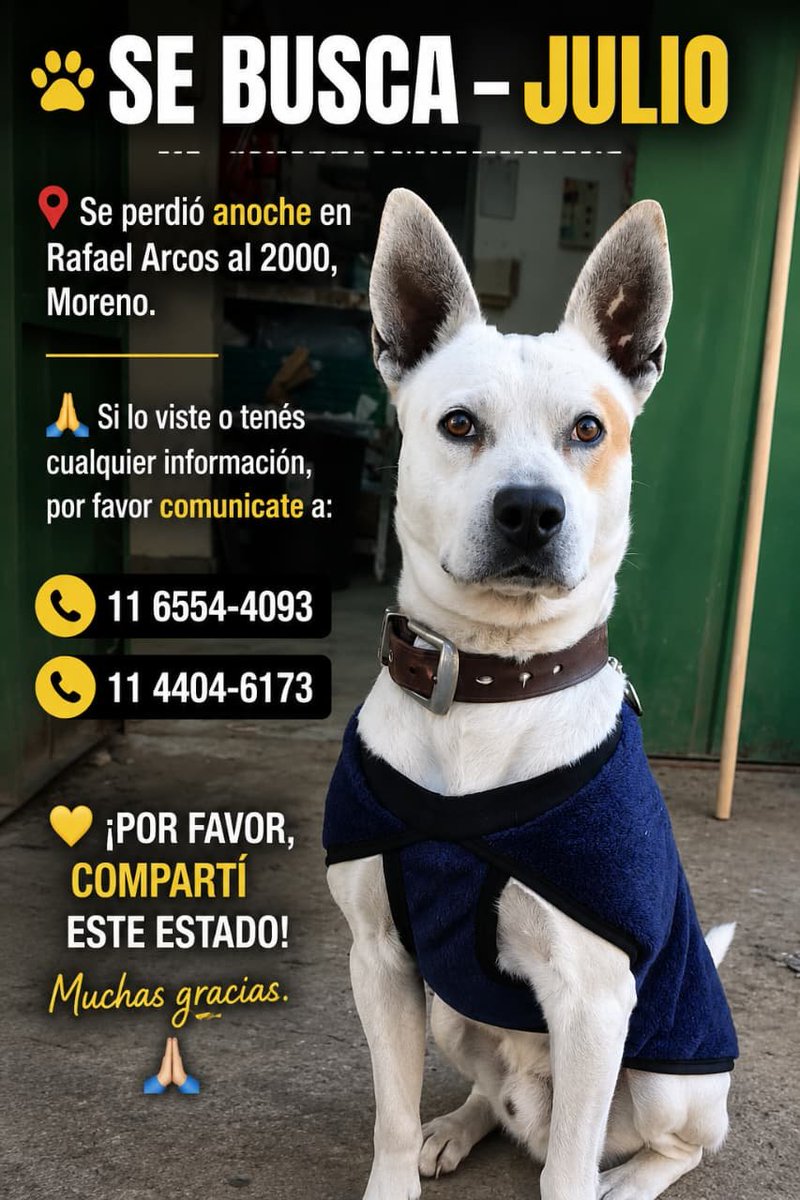 patripeyrou's tweet photo. Dios!!!!
Chapita y collar https://t.co/WyrjoAQfWr