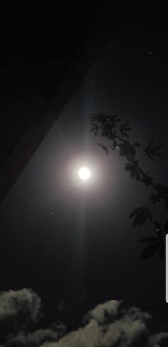 dilbirin_dilo's tweet photo. Gideceksin biliyorum 
Koşuma sürülmüş atlar misaliyim bu gece 
Yorgun 
Terli 
Ve yalnız Gideceksen eğer 
Bu gece git bari 
Git bu gece
Uyuz hava kokusunu içime çekerken aklıma düşVe beni de yanında götür 

#kadavrarapor https://t.co/LIEr1qNxnJ