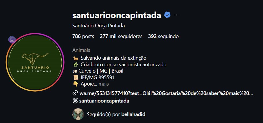 BHAmidias's tweet photo. Bella Hadid recently followed Santuário Onça Pintada on Instagram - A brazilian conservation breeding center that works to rescue, rehabilitate, and conserve animals that are victims of trafficking or mistreatment, offering volunteer programs and technical visits. 🐈🩶 https://t.co/tPmlc0yiFs