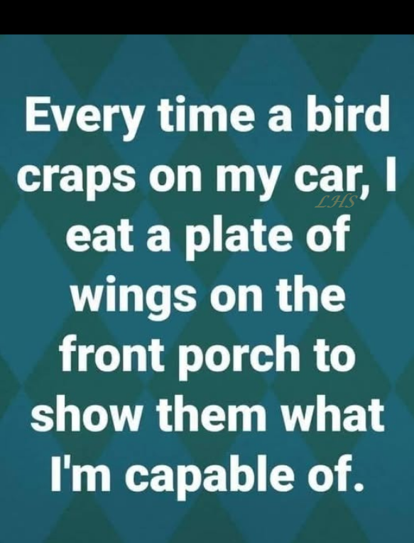 lisahsmithlhs's tweet photo. 😎🍗😋😏😏😏😆🤣😂 https://t.co/xnxcxPivkf