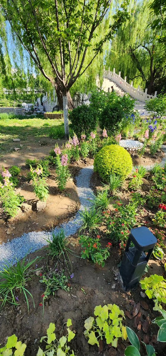gkPxAeQo8BFeiDe's tweet photo. [Join our community garden volunteer day this Sat (9am-12pm)! No experience needed—just bring your energy to plant flowers and harvest veggies. Free snacks provided! Tag a neighbor who’d love to come. #LocalCommunity #Volunteer]， https://t.co/nvHuRfbUoj