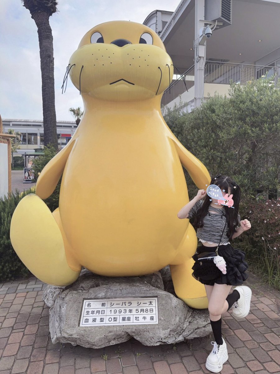 coma_Aliceparty's tweet photo. 水族館꒰ᐡ˶ᐡ ˙̫ ᐡ˵ᐡ꒱🎶 https://t.co/jffRNoFuZu