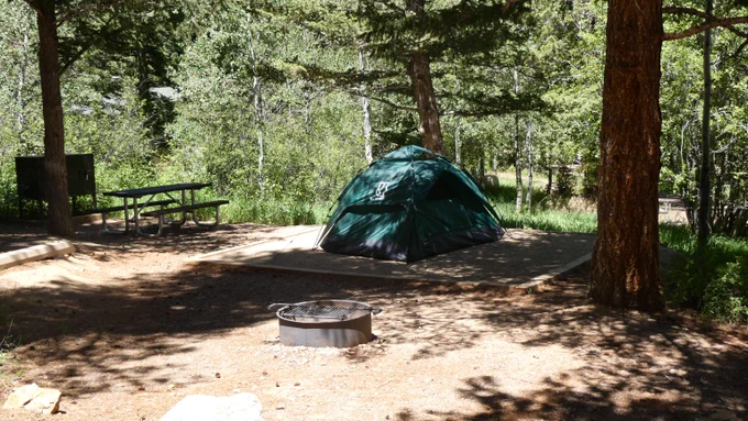 A green dome tent is set up on a flat campsite surrounded by tall trees and dense greenery. A picnic table and a metal bear-proof storage box sit to the left, while a fire ring with a grill grate is in the foreground. Sunlight filters through the branches, creating patches of light and shadow on the ground.