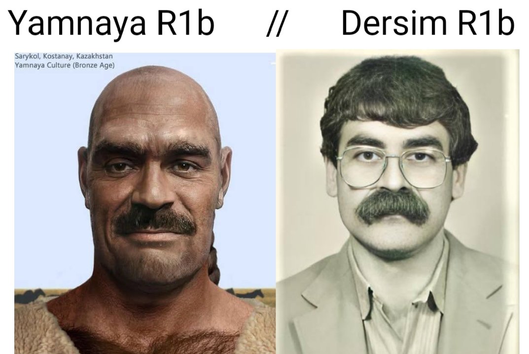 babaali6240's tweet photo. Yamnaya dediğin adamlar şöyle görünüyor dayı ,Türk oldukları kesin bilgi mi ? https://t.co/IZ9csy1MyT