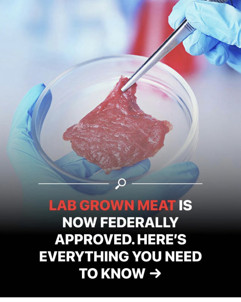 JA5371's tweet photo. @US_FDA @FDA_Drug_Info @FDACBER @RobertKennedyJr This is outrageous. The FDA should rescind this and ban all lab grown meat for human and pet consumption. https://t.co/v4hPRKd7EG