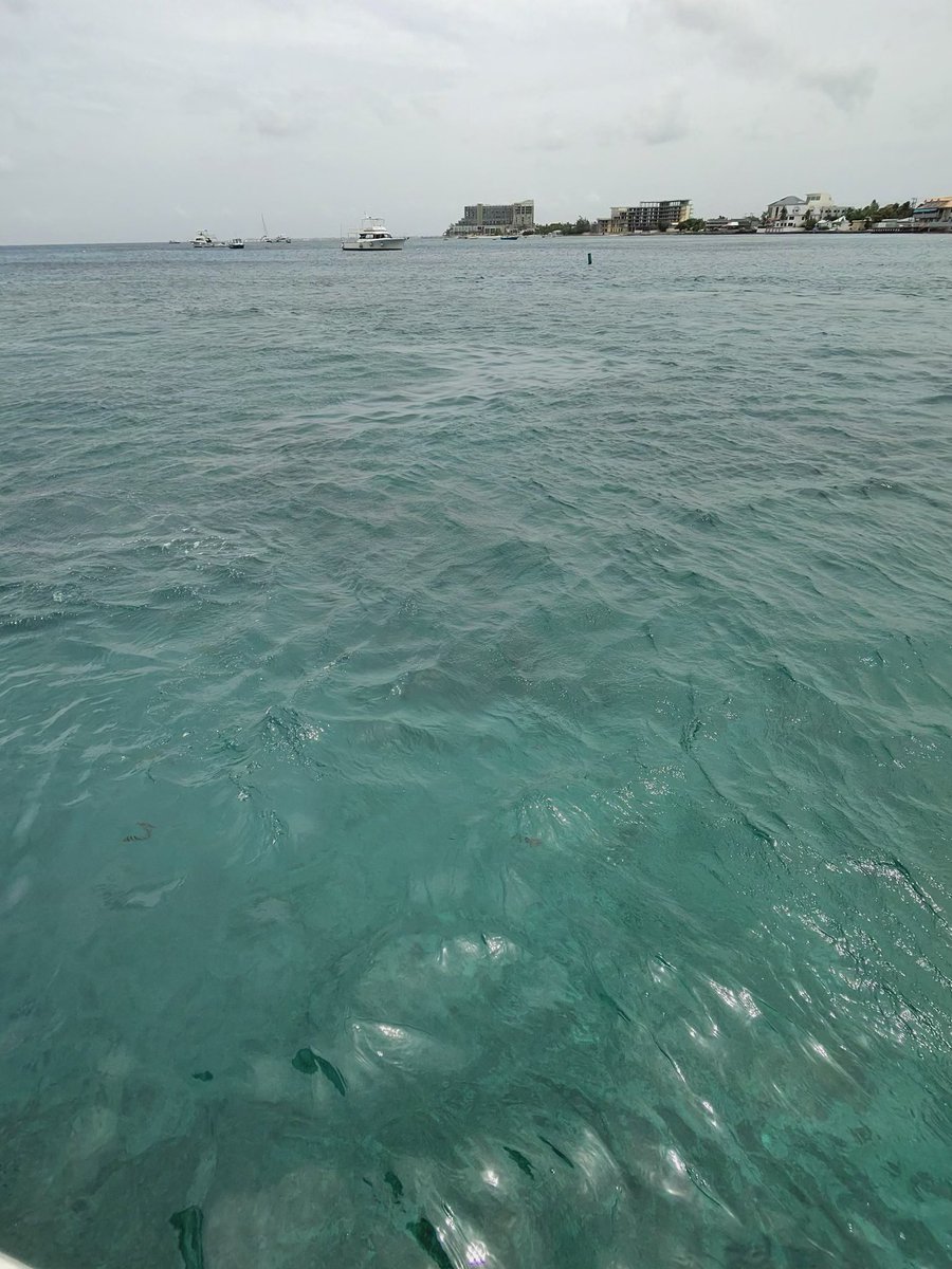 lingbaee's tweet photo. 📍grand cayman https://t.co/8l5eGgHR27