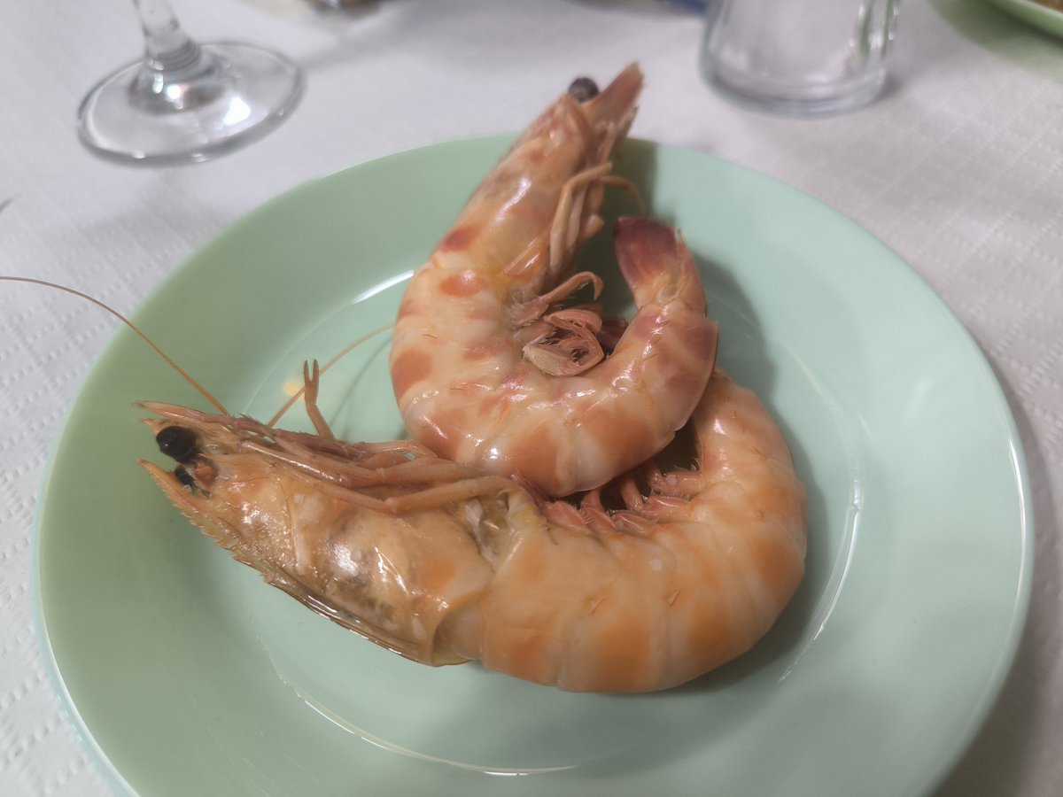 GastroCharlie's tweet photo. Nueva visita a La Espuela II en Sanlúcar.
En esta ocasión fui con la Cofradía de Los Esteros, de San Fernando. Éramos 30.
Muy buenos langostinos, perfectos de cocción, frescos y de gran calibre.
Asimismo los chiguatos estaban estupendos.
Las puntillitas las he tomado allí mejores https://t.co/sIGvnEqpFo