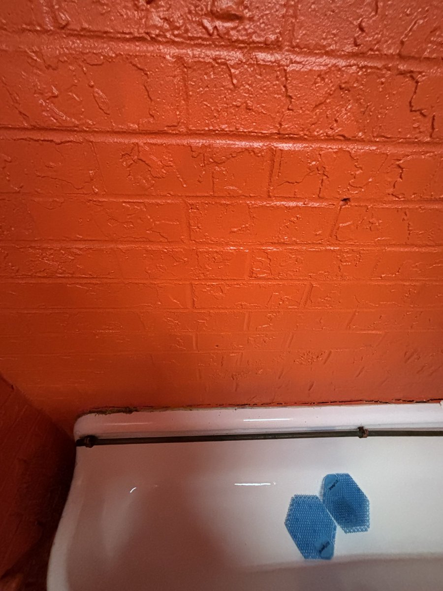 ClemsonWalter's tweet photo. How I missed you 

#IfTheseWallsCouldTalk https://t.co/BnRhC7OGt7