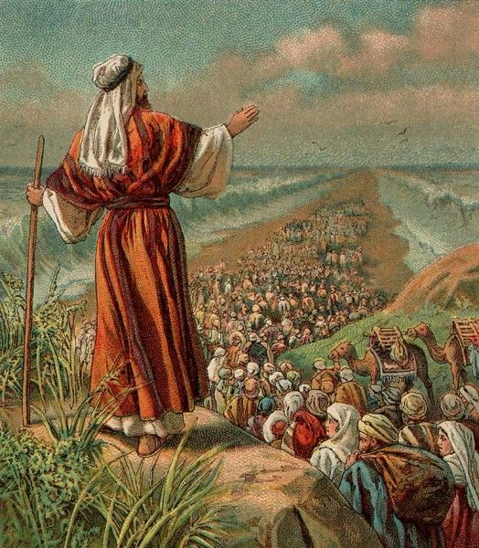 historiclassics's tweet photo. Genesis and Exodus are the first two books of the Hebrew Bible and Old Testament 

Genesis tells us about the creation of the world and the covenant between God and the Israelites

Exodus tells us about the enslavement of the Israelites, their liberation, and the Ten Commandments.