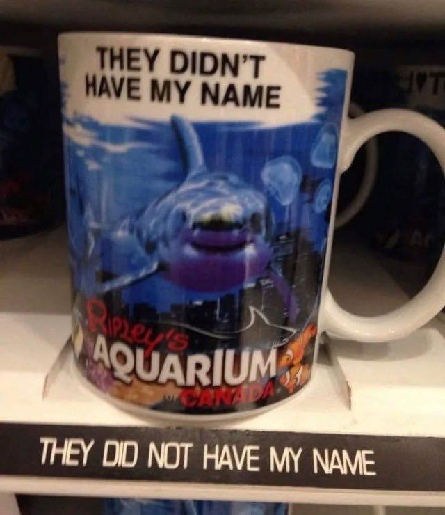 equine__dentist's tweet photo. they didn’t have my name https://t.co/wkX5gSSpk0