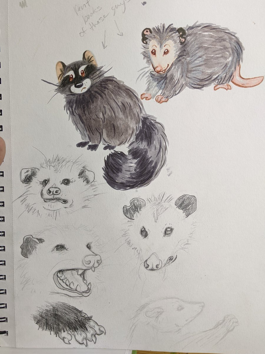 DoggoGore's tweet photo. Doodles :^) https://t.co/cXMDkG8rJR